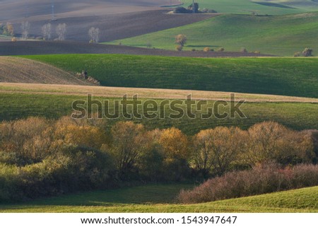 Landscape panoramatic picture of fields, meadows, bushes and trees in sunny autumn evening in Slovakia, by city Martin, between Mala and Velka Fatra mountain range. Wawes in agricultural countryside. 