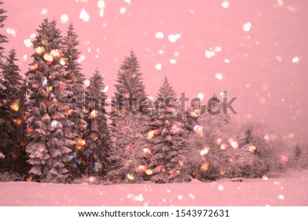 Swiss mountains in the winter with pine trees covered with snow on cloudy day. Beautiful winter scene with pink filter and with sparkling lights. Selective focus. Creative background for Christmas.