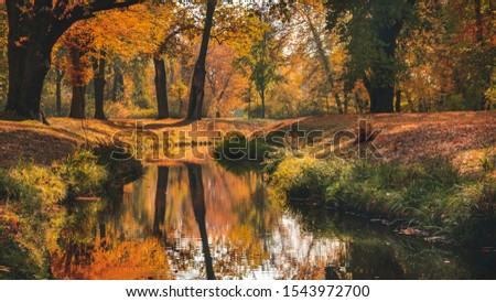 Beautiful autumn landscape with pleasant warm sunny light. Picture taken in Bad Muskau park, Saxony, Germany. UNESCO World Heritage Site. Royalty-Free Stock Photo #1543972700