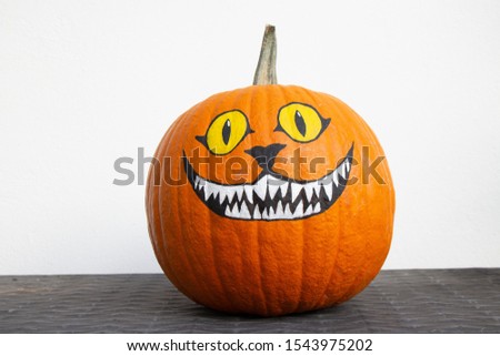 Painted pumpkin - grinning cat 