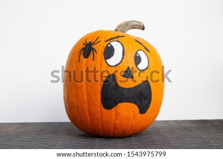 Painted pumpkin - scared of the spider