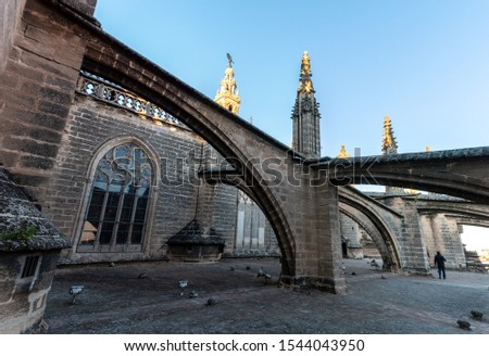 The flying buttress from the roof of the cathedral of Sevilla, Spain during sunset