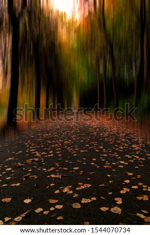 Picture of a park of Dublin. Induced motion blurred of the tree foliage to create an impressionist look. Fall colours of October