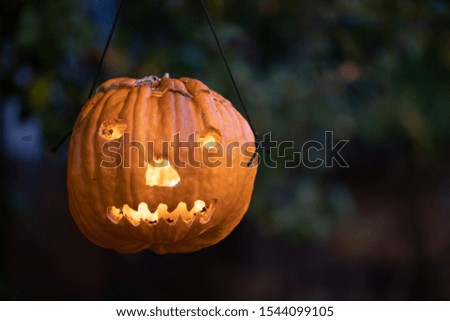 Halloween carved pumpkins on a colourful setup.