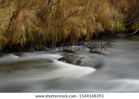fast flowing rapids next to grassy shore softened with long exposure and autumn colors