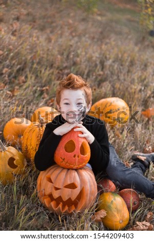 red-haired boy spider sits among orange heads of pumpkins. Children's costume spider on Halloween. horor party