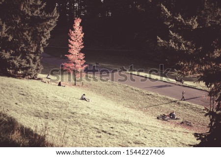 A sunny afternoon stroll at Mt. Tabor Park in Portland, Oregon, Autumn season