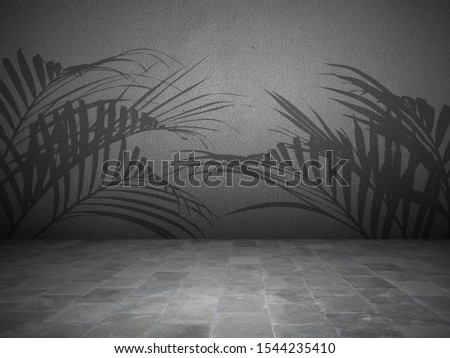 Empty room with shadow palm tree. Texture dark floor with old wall. Gray and black background. Studio background with concrete wall.