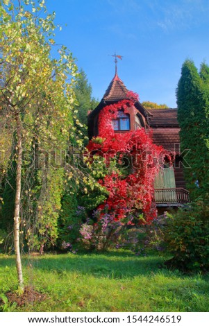 The photo was taken in Ukraine, in the Carpathian mountains. The picture shows a cozy house overgrown with wild grapes in the autumn season.