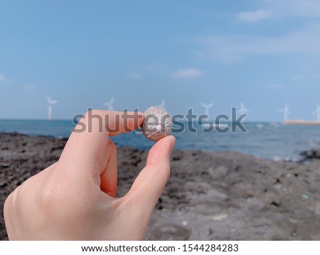 A hand holding a clam, far away you can see a blue sea.
