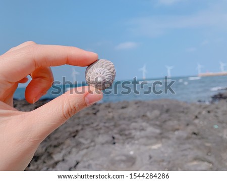 A hand holding a clam, far away you can see a blue sea.
