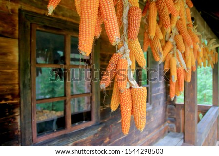 The photo was taken in the Ukrainian village in the Carpathian mountains. In the picture, corn cobs are dried on the porch of a wooden traditional house.