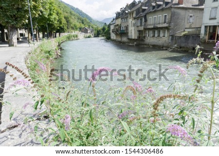 Garonne river in Saint Beat village Midi Pyrenees France