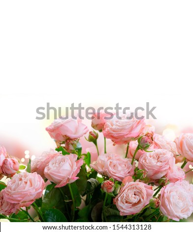 Rose small fresh flowers bouquet close up over white background