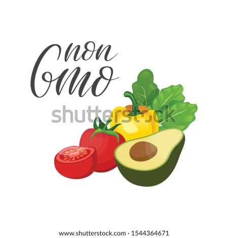 Non GMO. Healthy lifestyle and diet, proper nutrition, raw food, vegetable nutrition. Healthy lifestyle. Vector illustration.