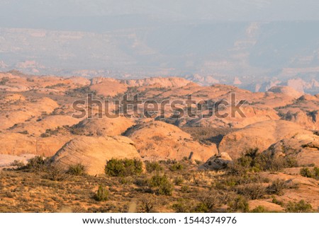 landscape in arches national park in the united states of america
