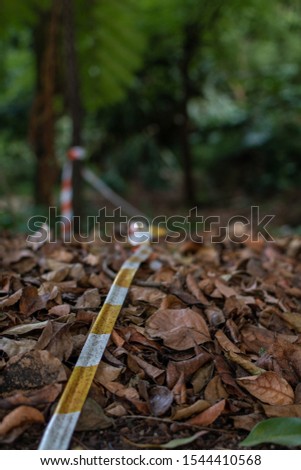 Caution tape on a background of leaves in the middle of the forest