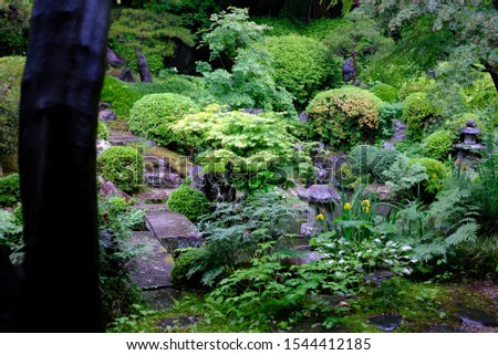 A lush moss garden at Kozenji Temple, Kiso Fukushima, Kiso Valley, Nagano, Japan.
