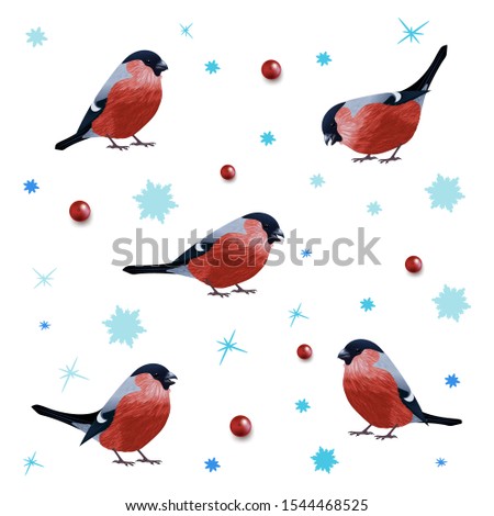 Bullfinch Set. Realistic vector purrhula, red berry and snoflakes on white background.