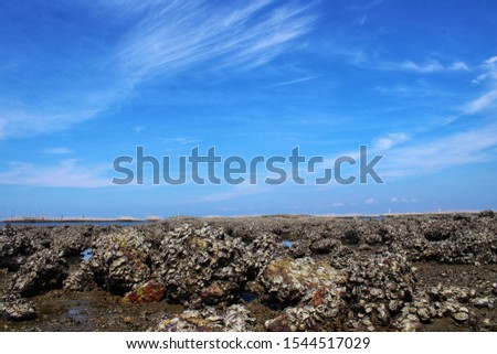 Rocks with oysters background sky and sea