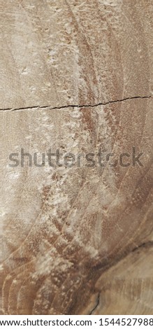 Wood texture with natural patterns for design and decoration