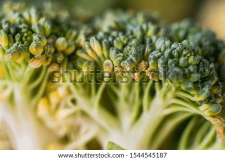 healthy broccoli on a dark background