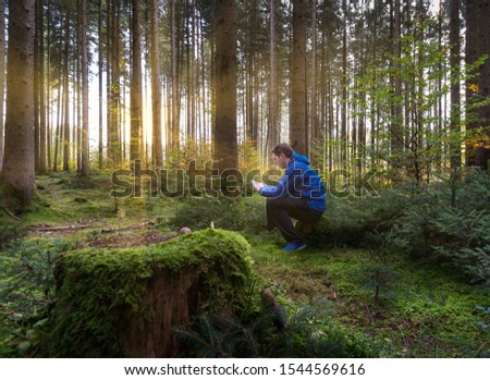 In the middle of a green forest, a man sits on a trunk and is using his smartphone while the sun is shining bright.