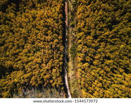 Autumn mountain forest landscape drone shots
