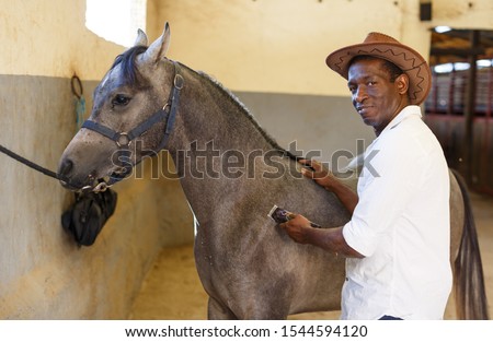 Cheerful mature African man caring for horse with electric trimmer at stable