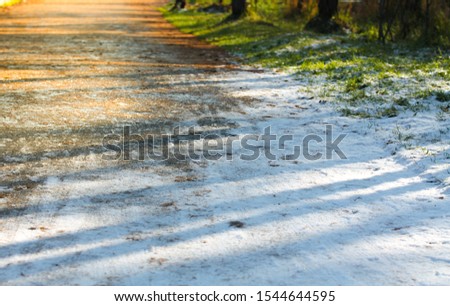 Road with snow, fallen leaves and green grass in the park. Picture of three seasons - summer, autumn and winter. Sunny day background