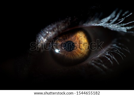 brown eye eyes with make up mascara and beautiful pupil and iris macro shot close up photography extreme macro 