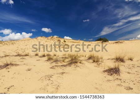 View of the sand dunes and wild grass bushes in Voronezh oblast, Russia. Blue sky