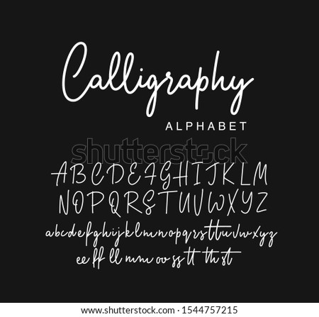 Modern calligraphy alphabet. Vector script. Royalty-Free Stock Photo #1544757215