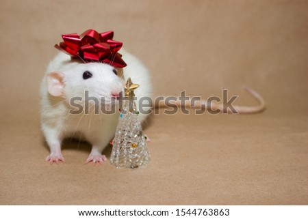 White decarative rat posing for New Year's photo.