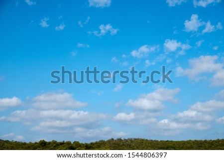 Vivid cloudy sky with Portuguese vegetation. Picture taken in Algarve, Portugal