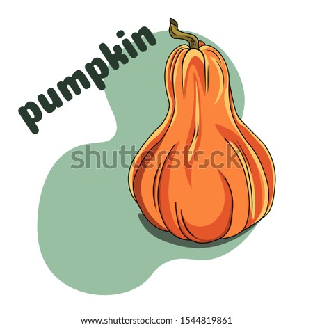 Cartoon pumpkin. Different on white background with the words "pumpkin". Autumn halloween or thanksgiving pumpkin. Autumn harvest. Squash and gourd vegetable cartoon icons. 