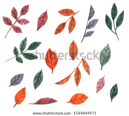 Set of colorful autumn leaves, hand drawn watercolor illustration
