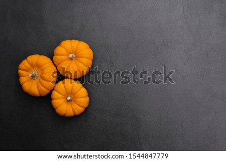 Orange pumpkins on black background. Top view of little autumn pumpkin for template and web banner.