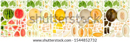 Large collection of galia melon fruit pieces, slices and leaves isolated on white background. Top view. Seamless abstract pattern.
