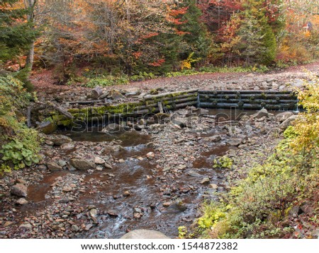 Wooden dam on a mountain stream. Wooden dam in the forest. Hedge on a mountain river in the forest. Autumn landscape with a river.