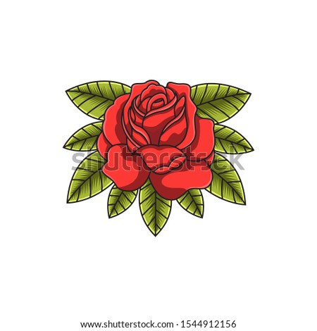 Red rose flower design vector illustration.