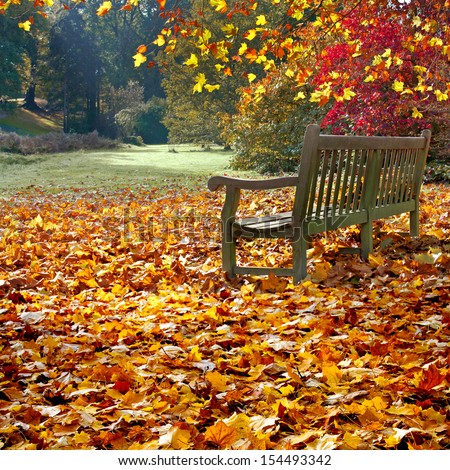 Bench in autumn park. Autumn landscape. Royalty-Free Stock Photo #154493342