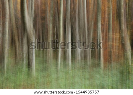 abstract picture with moving trees and leaves
