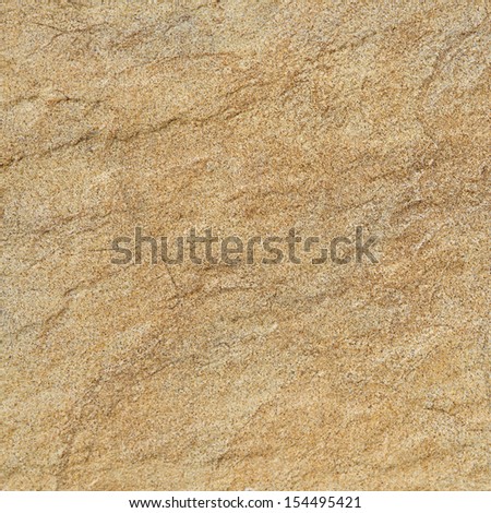 warm fossil rock texture