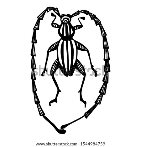 Hand drawn vector beetles. Black and white insects for design, icons, logo or print. Drawn with dots. Great illustration for Halloween.