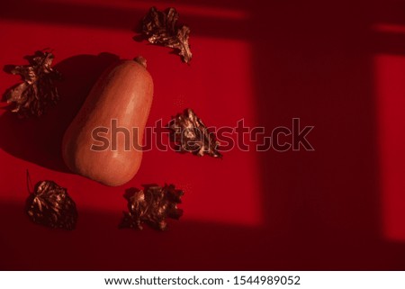 Rose gold dried fall leaves and butternut on red background from above. Direct sun light, focus on the shadows. Autumnal minimalism flatlay. Copyspace for text, overhead