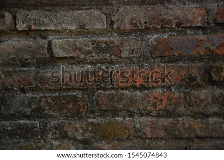 brick wall, use as a background or wallpaper