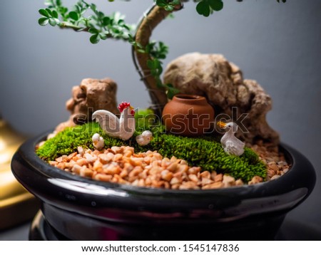 Close up Bonsai decoration with animal miniature of Duck, Chickens, stone and green fern moss Royalty-Free Stock Photo #1545147836