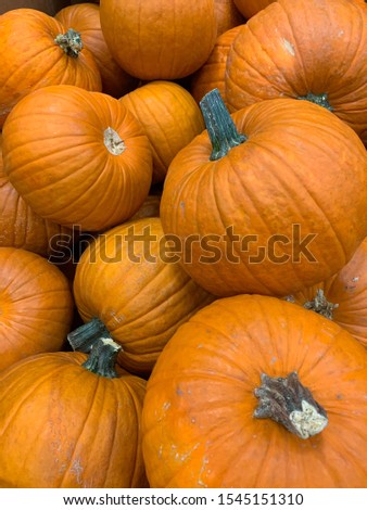 Abstract Several Pumpkin Patch Background.