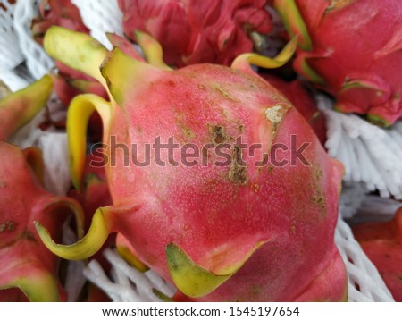 Fresh dragon fruit for sale in the market.